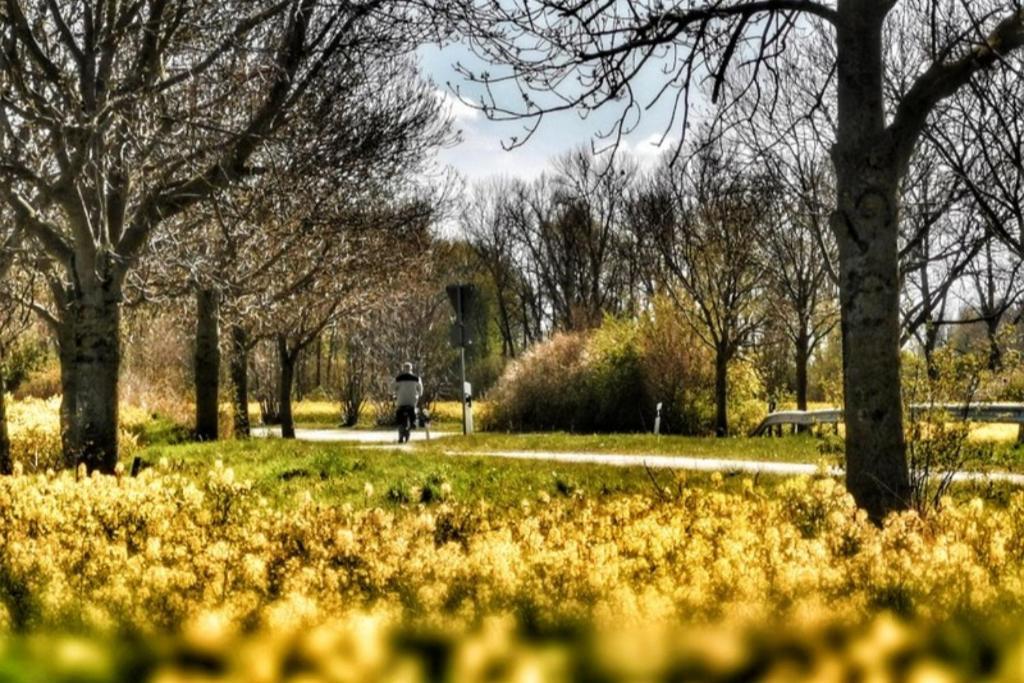 Apartmentvermittlung Mehr Als Meer - Objekt 7 Niendorf  Luaran gambar